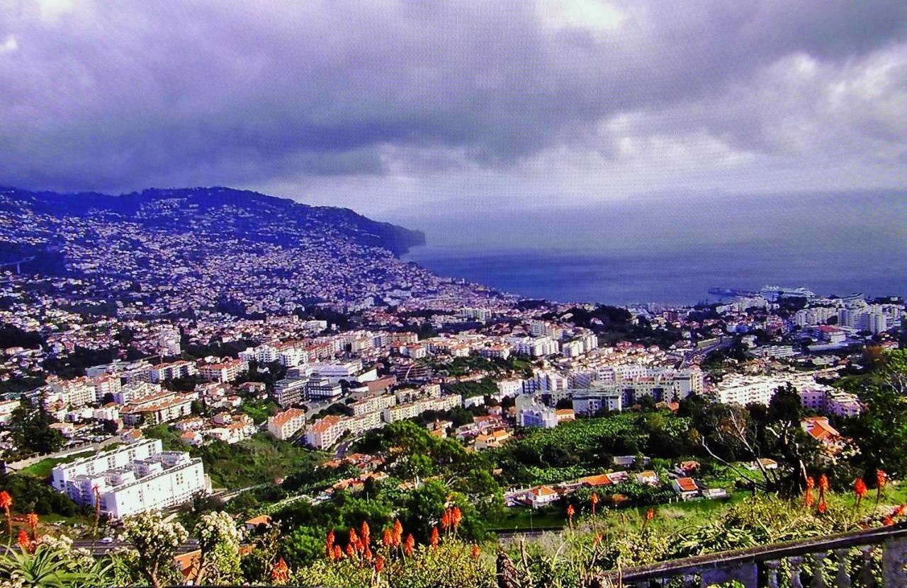 Apartment - The Historical Center Of Funchal In Alojamento Local Kültér fotó