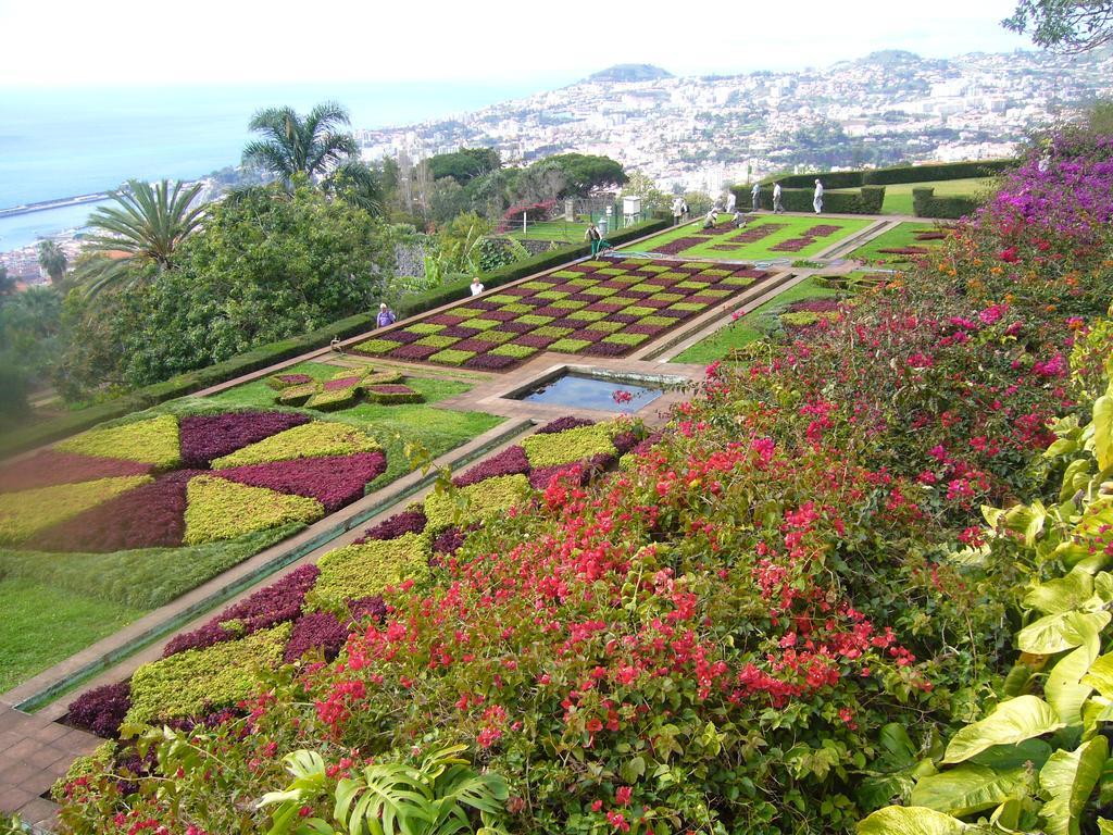 Apartment - The Historical Center Of Funchal In Alojamento Local Kültér fotó