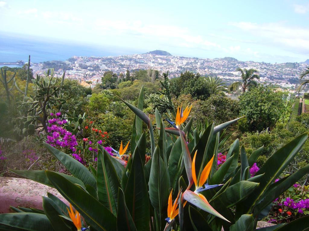 Apartment - The Historical Center Of Funchal In Alojamento Local Kültér fotó