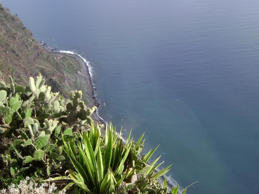 Apartment - The Historical Center Of Funchal In Alojamento Local Kültér fotó